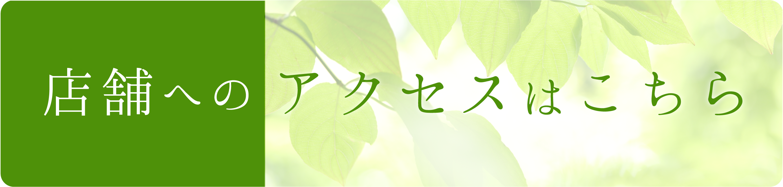 お気軽にお問い合わせください